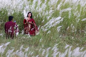 People Visit In Catkin Field In Bangladesh