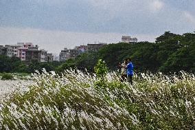 Daily Life In Dhaka