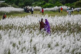 Daily Life In Dhaka