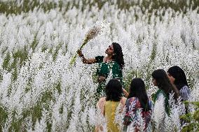 Daily Life In Dhaka