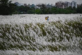 Daily Life In Dhaka