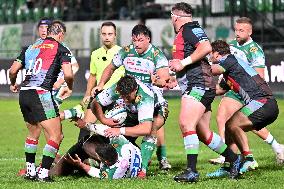 - Test Match - Benetton Rugby vs Harlequins FC