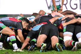 - Test Match - Benetton Rugby vs Harlequins FC