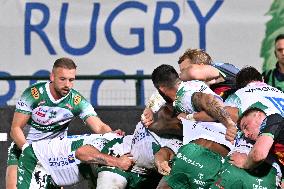 - Test Match - Benetton Rugby vs Harlequins FC