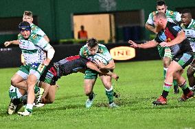 - Test Match - Benetton Rugby vs Harlequins FC