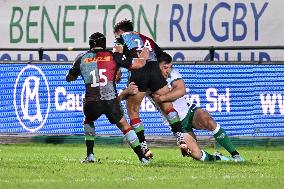 - Test Match - Benetton Rugby vs Harlequins FC