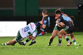 - Test Match - Benetton Rugby vs Harlequins FC