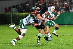 - Test Match - Benetton Rugby vs Harlequins FC