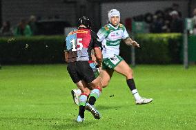 - Test Match - Benetton Rugby vs Harlequins FC