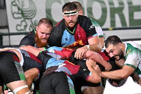 - Test Match - Benetton Rugby vs Harlequins FC