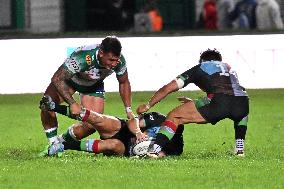 - Test Match - Benetton Rugby vs Harlequins FC