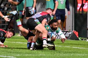 - Test Match - Benetton Rugby vs Harlequins FC