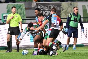 - Test Match - Benetton Rugby vs Harlequins FC