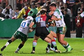 - Test Match - Benetton Rugby vs Harlequins FC