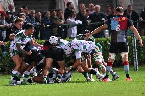 - Test Match - Benetton Rugby vs Harlequins FC