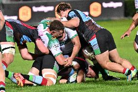 - Test Match - Benetton Rugby vs Harlequins FC