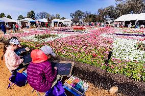 Floriade Flower Festival - Canberra