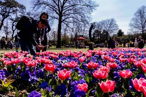 Floriade Flower Festival - Canberra