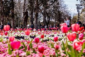 Floriade Flower Festival - Canberra