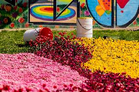 Floriade Flower Festival - Canberra