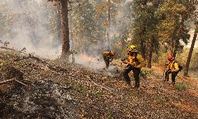 Bridge Fire Is The Largest Active Fire Burning Over 50,000 Acres - California