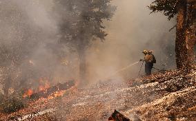 Bridge Fire Is The Largest Active Fire Burning Over 50,000 Acres - California