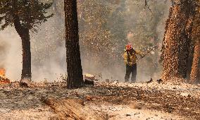 Bridge Fire Is The Largest Active Fire Burning Over 50,000 Acres - California