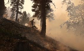 Bridge Fire Is The Largest Active Fire Burning Over 50,000 Acres - California