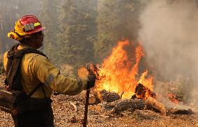 Bridge Fire Is The Largest Active Fire Burning Over 50,000 Acres - California