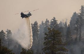 Bridge Fire Is The Largest Active Fire Burning Over 50,000 Acres - California