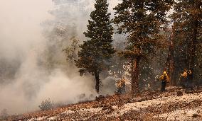 Bridge Fire Is The Largest Active Fire Burning Over 50,000 Acres - California