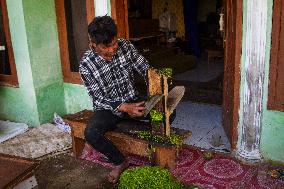 Rising Tobacco Use In Indonesia