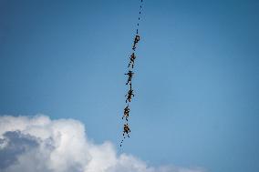 Athens Flying Show