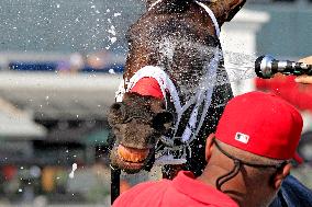 Thoroughbred Horse Racing At Woodbine Racetrack - September 14, 2024