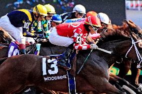 Thoroughbred Horse Racing At Woodbine Racetrack - September 14, 2024