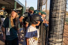 Oakland Ballers Beat Yolo High Wheelers In Game Two (round One) Of Pioneer Baseball League's Playoffs