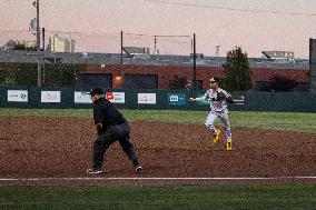 Oakland Ballers Beat Yolo High Wheelers In Game Two (round One) Of Pioneer Baseball League's Playoffs