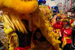 Mid-Autumn Festival In Brazil