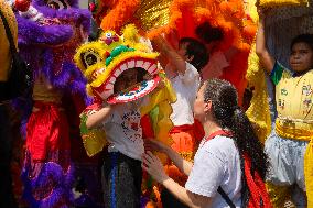 Mid-Autumn Festival In Brazil