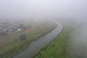 Dead Fish Found In Vistula River Due To Water Pollution