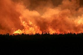 A Fire at A Wood Processing Plant in Yuncheng