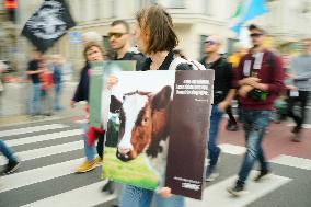 Rally For Animal Rights In Warsaw