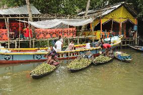 Floating Plum Market - Bangladesh