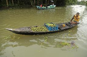 Floating Plum Market - Bangladesh