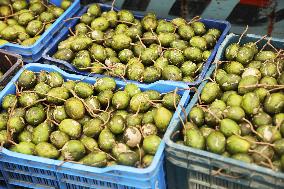 Floating Plum Market - Bangladesh