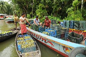 Floating Plum Market - Bangladesh