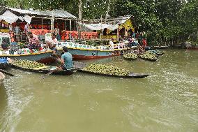 Floating Plum Market - Bangladesh