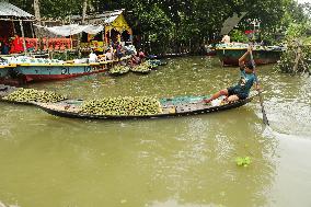 Floating Plum Market - Bangladesh