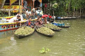 Floating Plum Market - Bangladesh