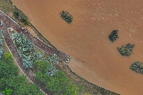 Typhoon Yagi Aftermath - China